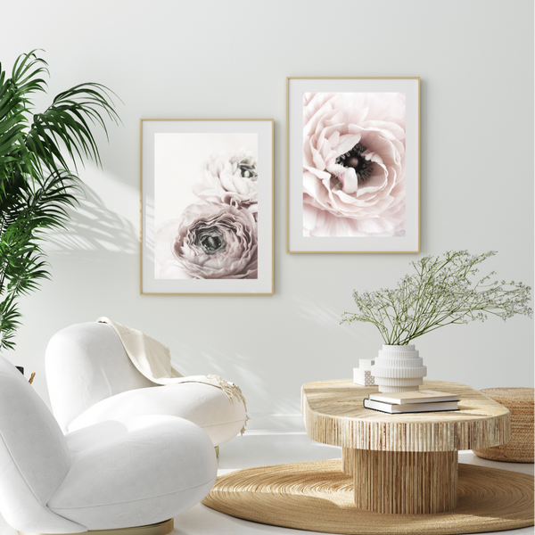 Ranunculus Flower I Print-Art for Interiors-Online Framed-Australian Made Wall Art-Milk n Honey Designs