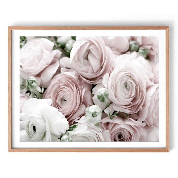 Ranunculus Garden-Art for Interiors-Online Framed-Australian Made Wall Art-Milk n Honey Designs