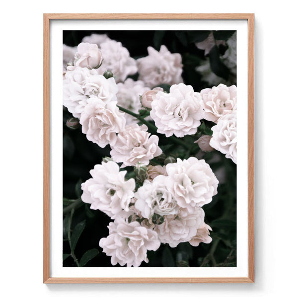 Garden Roses Print-Art for Interiors-Online Framed-Australian Made Wall Art-Milk n Honey Designs