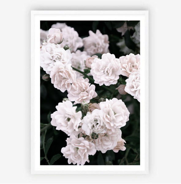 Garden Roses Print-Art for Interiors-Online Framed-Australian Made Wall Art-Milk n Honey Designs