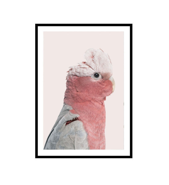 Rosie the Pink Cockatoo-Art for Interiors-Online Framed-Australian Made Wall Art-Milk n Honey Designs