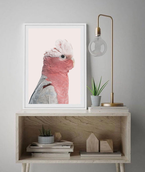 Rosie the Pink Cockatoo-Art for Interiors-Online Framed-Australian Made Wall Art-Milk n Honey Designs