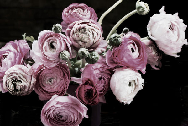 Still Life Flowers Photography Print-Art for Interiors-Online Framed-Australian Made Wall Art-Milk n Honey Designs