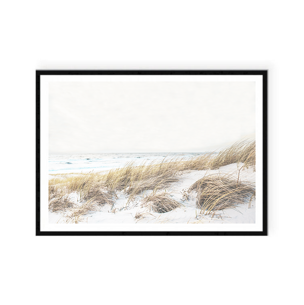 Sand Grasses Print