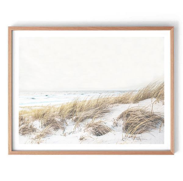 Sand Grasses Print