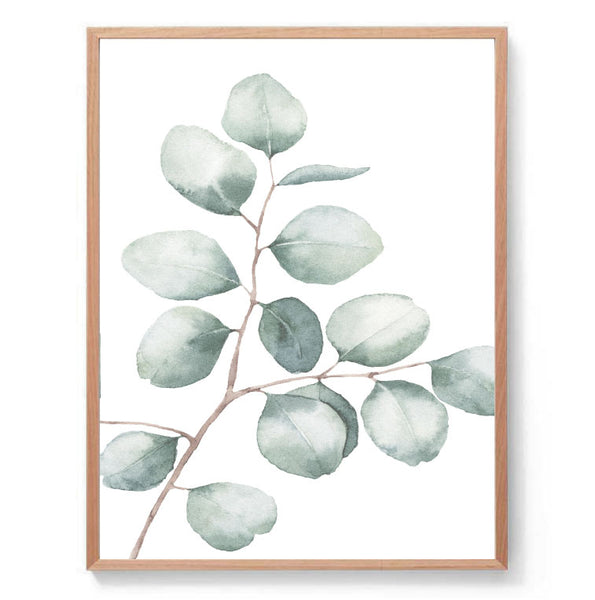 Silver Dollar Eucalyptus Watercolour Print-Art for Interiors-Online Framed-Australian Made Wall Art-Milk n Honey Designs