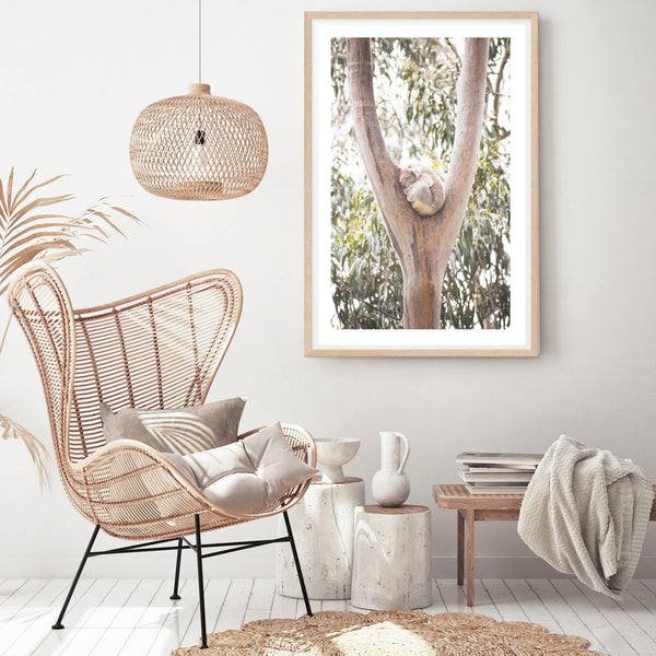 Sleeping Koala Print