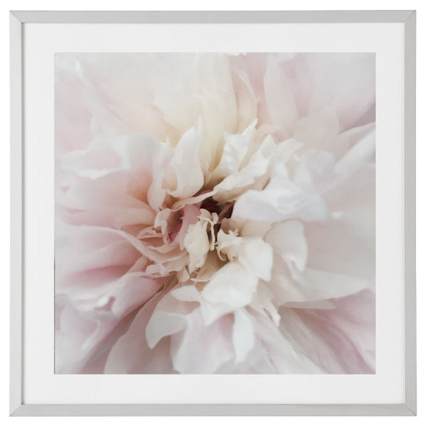 Soft Inner Bloom Print-Art for Interiors-Online Framed-Australian Made Wall Art-Milk n Honey Designs