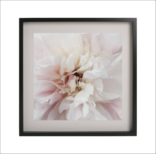 Soft Inner Bloom Print-Art for Interiors-Online Framed-Australian Made Wall Art-Milk n Honey Designs