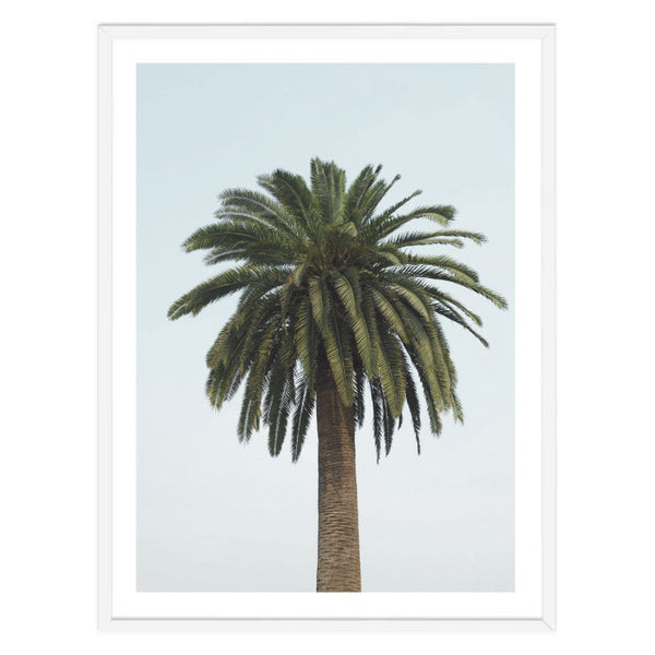 Solo Palm Print-Art for Interiors-Online Framed-Australian Made Wall Art-Milk n Honey Designs