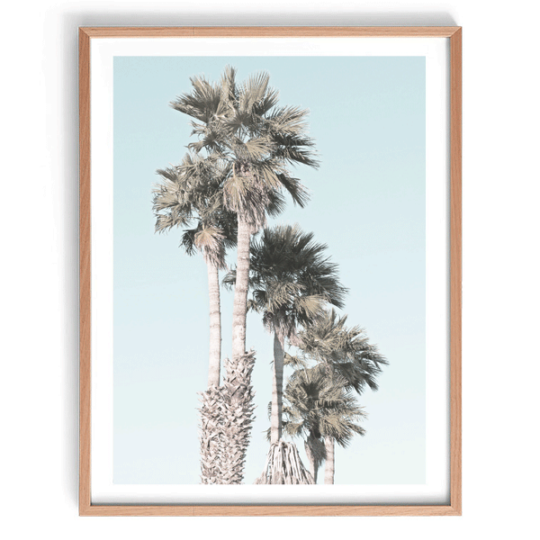 Stand Tall Palm Print