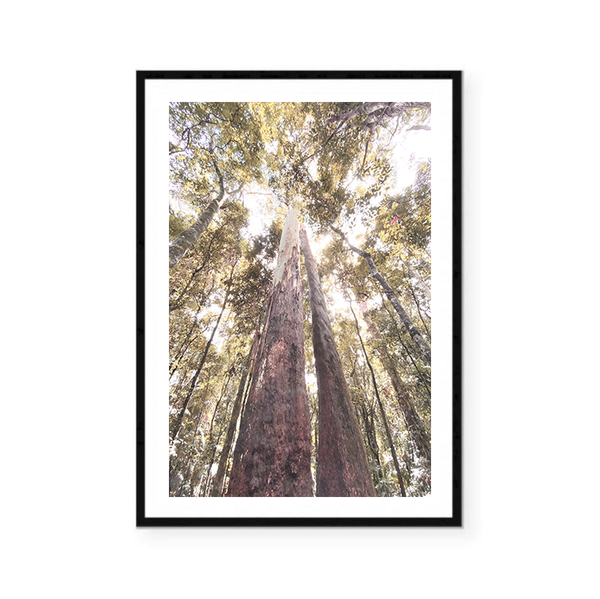 Stand Tall Original Photography Print