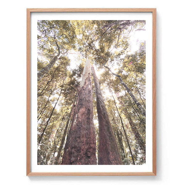 Stand Tall Original Photography Print