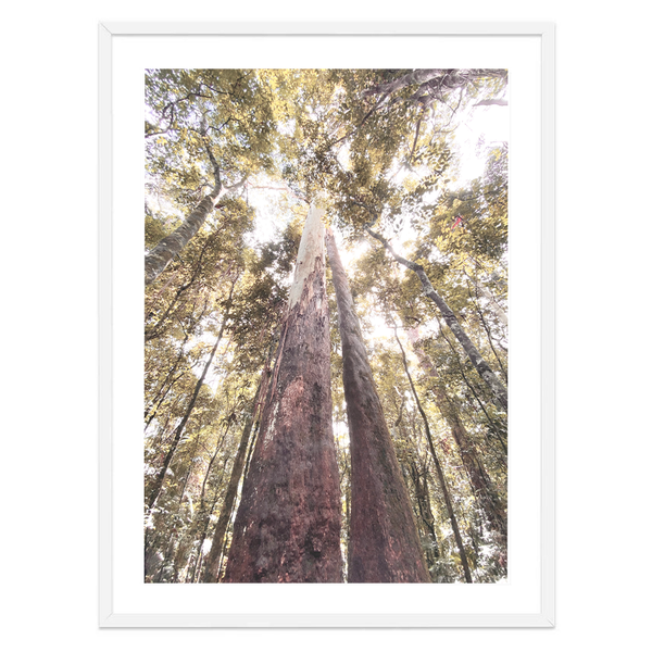 Stand Tall Original Photography Print