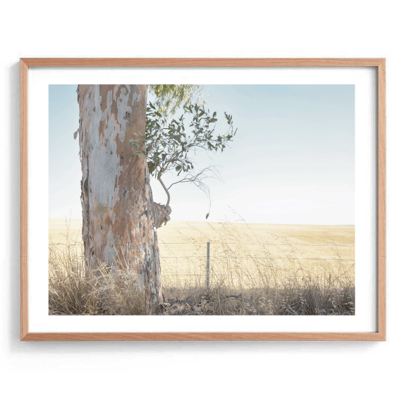 Gum Tree View Print