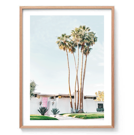 Palm Springs Door Print