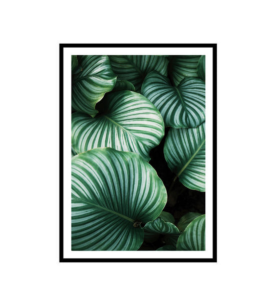 Variegated Leaf Photography Print-Art for Interiors-Online Framed-Australian Made Wall Art-Milk n Honey Designs