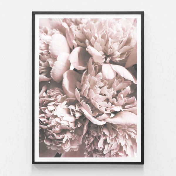 Vintage Blooms Print-Art for Interiors-Online Framed-Australian Made Wall Art-Milk n Honey Designs