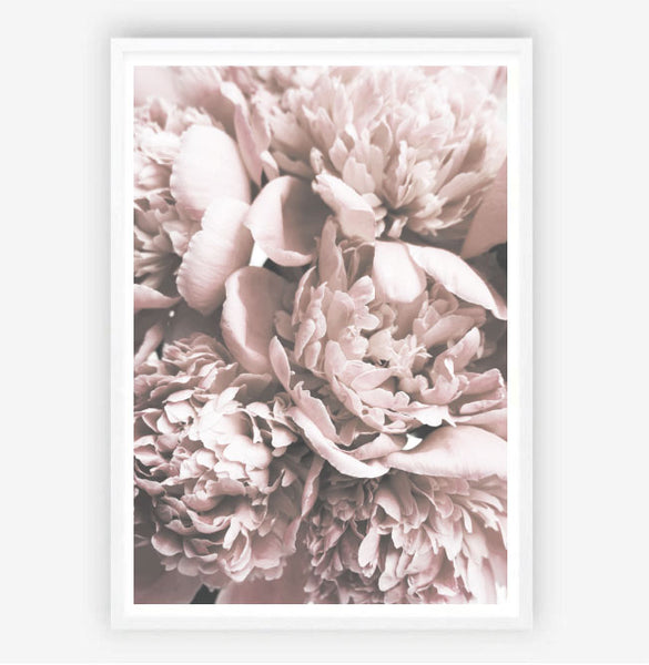 Vintage Blooms Print-Art for Interiors-Online Framed-Australian Made Wall Art-Milk n Honey Designs