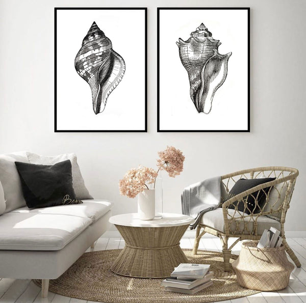 Vintage Shell Illustration Set of 2-Art for Interiors-Online Framed-Australian Made Wall Art-Milk n Honey Designs