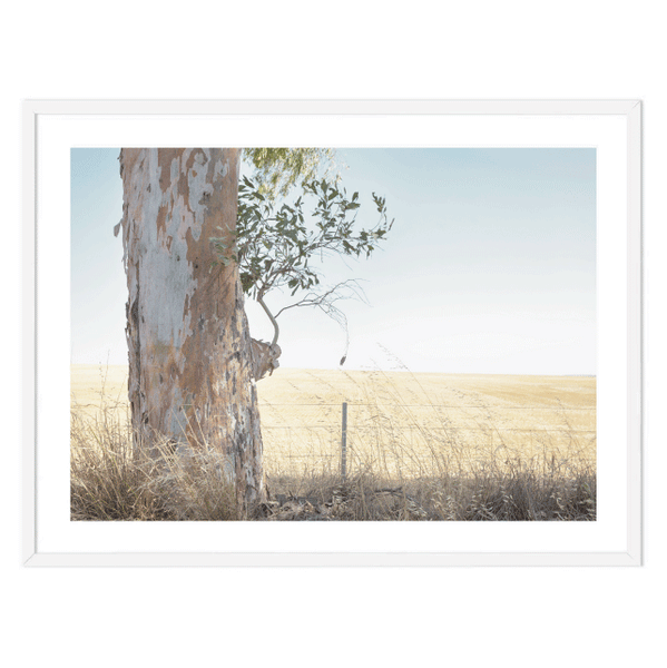 Gum Tree View Print
