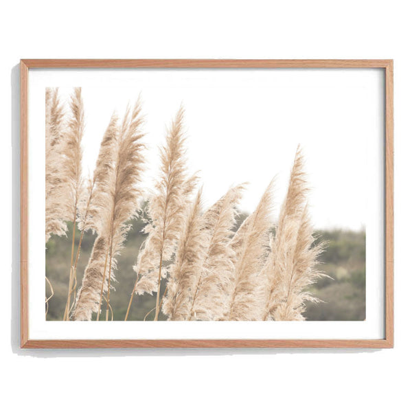 Wild Pampas Print-Art for Interiors-Online Framed-Australian Made Wall Art-Milk n Honey Designs