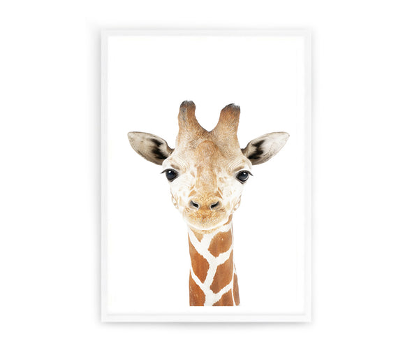Baby Giraffe Print-Prints for - BOYS-Online Framed-Australian Made Wall Art-Milk n Honey Designs