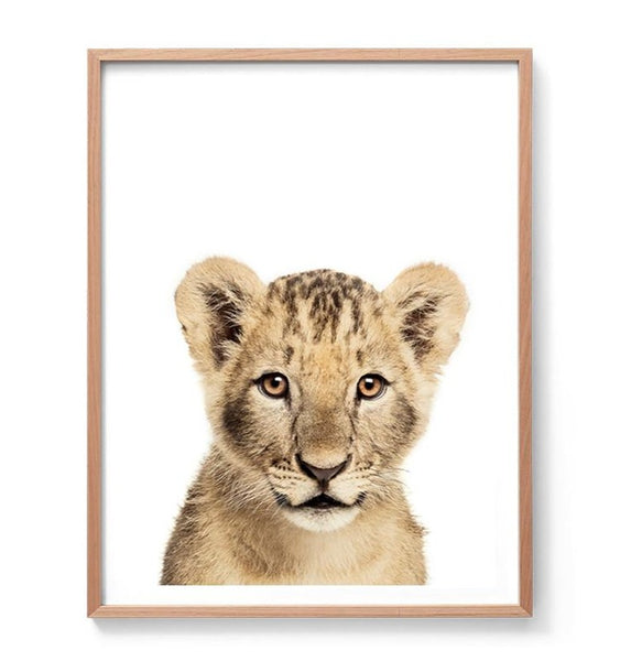 Baby Lion Print-Prints for - BOYS-Online Framed-Australian Made Wall Art-Milk n Honey Designs