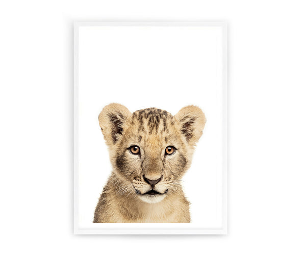 Baby Lion Print-Prints for - BOYS-Online Framed-Australian Made Wall Art-Milk n Honey Designs