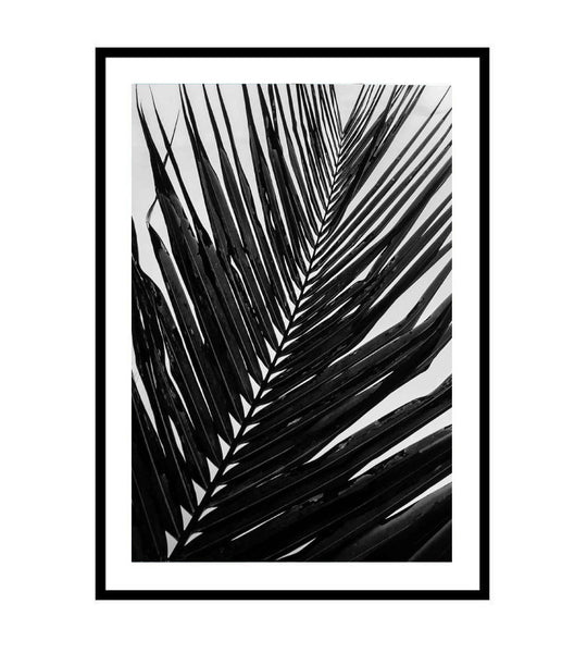 Mono Palm Leaf Print-Art for Interiors-Online Framed-Australian Made Wall Art-Milk n Honey Designs