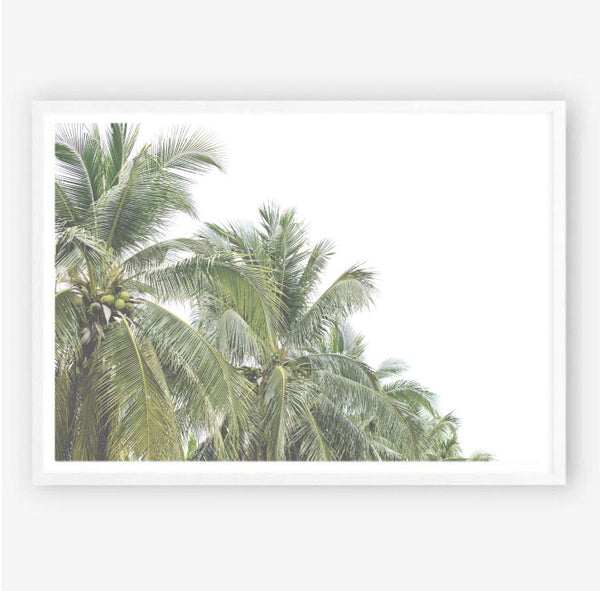 Faded Palms Wall Art Print-Art for Interiors-Online Framed-Australian Made Wall Art-Milk n Honey Designs