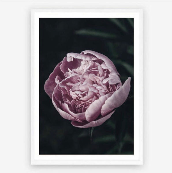Midnight Garden Print-Art for Interiors-Online Framed-Australian Made Wall Art-Milk n Honey Designs