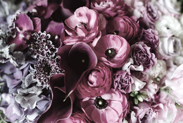 Ombre Flowers-Art for Interiors-Online Framed-Australian Made Wall Art-Milk n Honey Designs